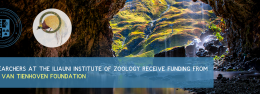 RESEARCHERS AT THE ILIAUNI INSTITUTE OF ZOOLOGY RECEIVE FUNDING FROM THE VAN TIENHOVEN FOUNDATION